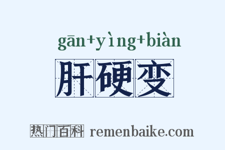 肝硬变是什么意思的图片